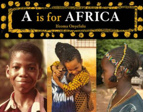 A是非洲书的封面