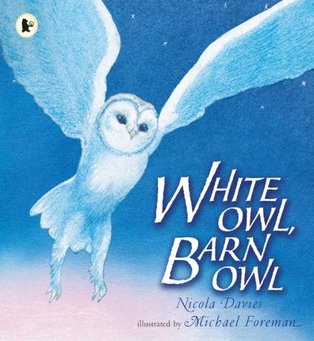 White Owl, Barn Owl.jpg