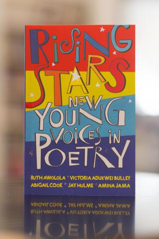 《冉冉升起的明星:诗歌中的新青年声音》
